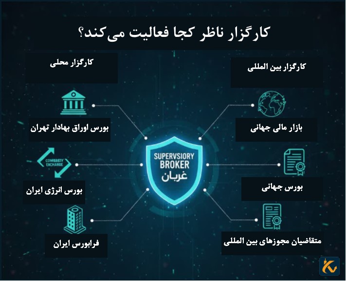 کارگزار ناظر کجا فعالیت می‌کند؟