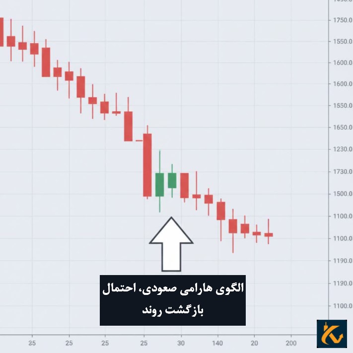 الگوی هارامی