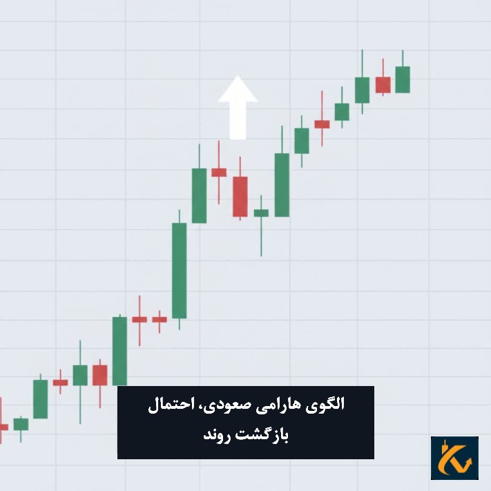 الگوی هارامی