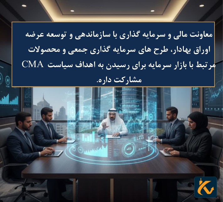 رگوله CMA | نهاد نظارتی عربستان سعودی - 3 معاونت مالی و سرمایه گذاری
