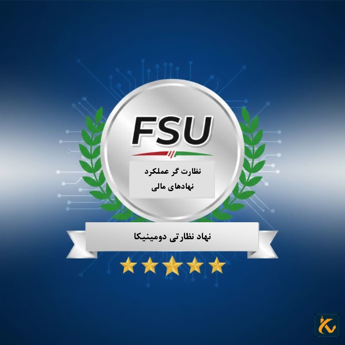 FSU نظارت گر عملکرد نهادها در بازار مالی